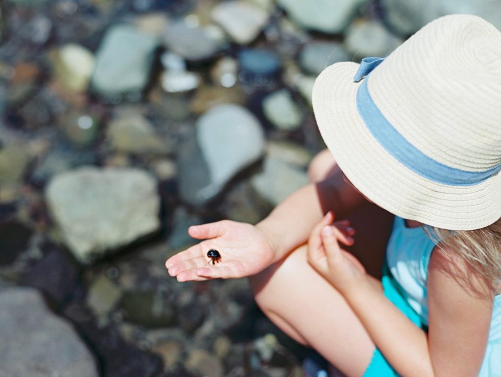 A girl holds a tiny crab in her hand that she found while exploring tide pools in Malibu
