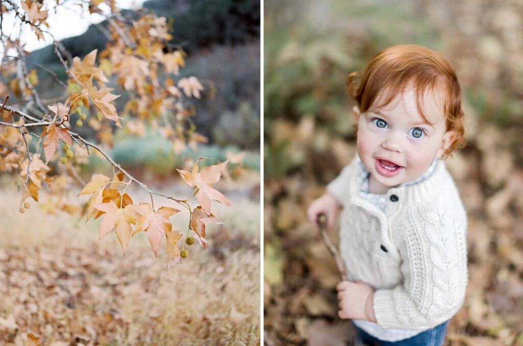 Photo of a toddler in a cream knit sweater for fall family photo outfit ideas by Ventura County photographer Daniele Rose.